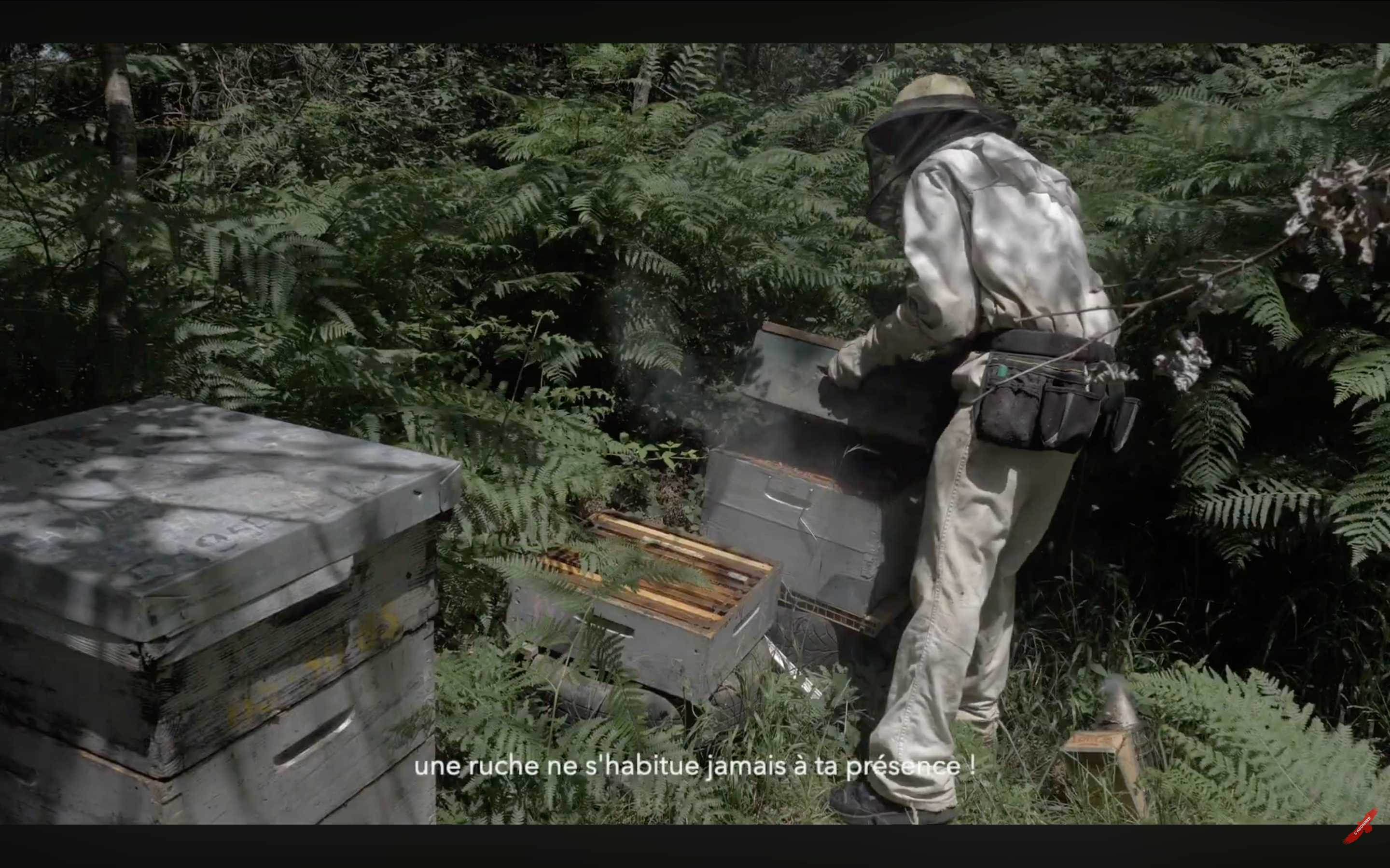 Charger la vidéo : 