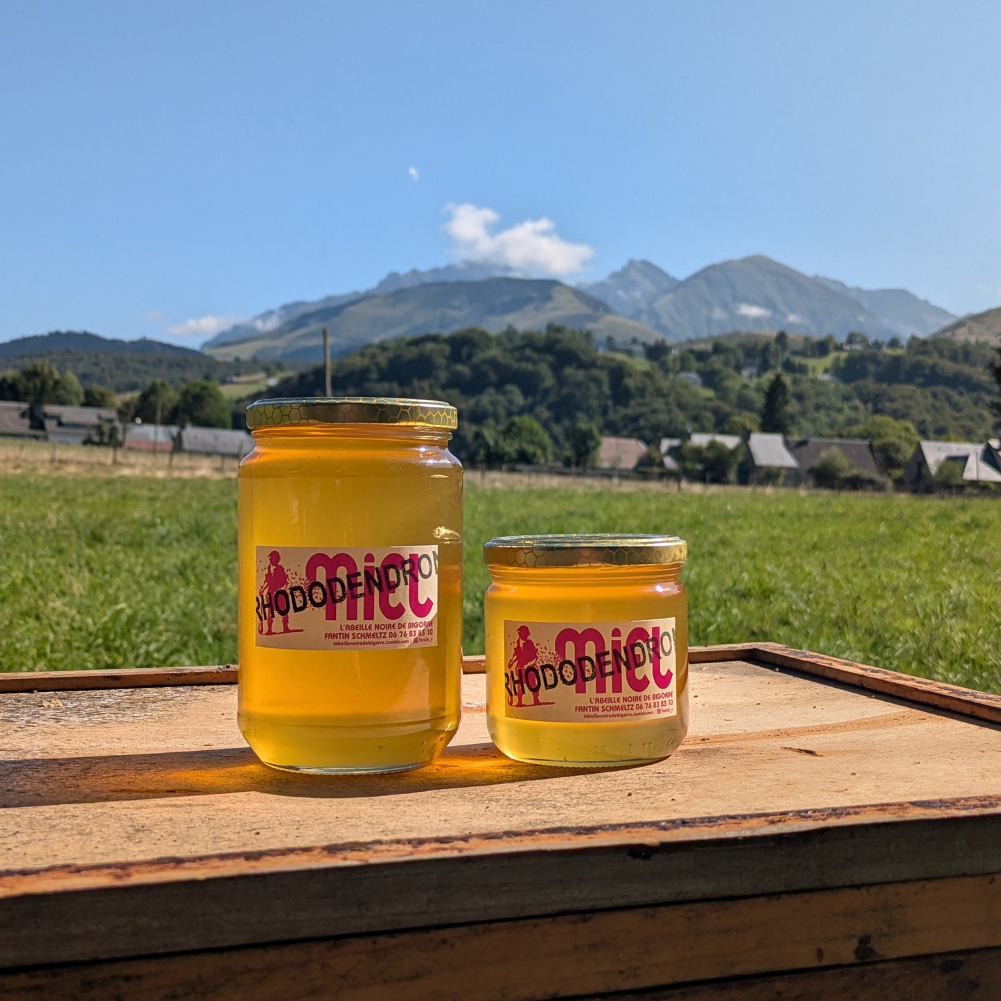 Miel de Rhododendron