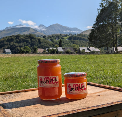 Miel de Bruyère Callune