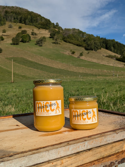 Miel fruitiers et fleurs de Printemps