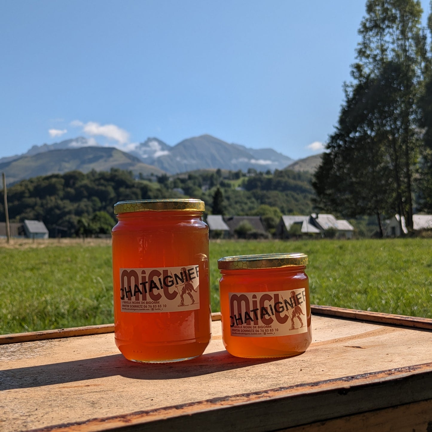 Miel de Ronce Chataignier